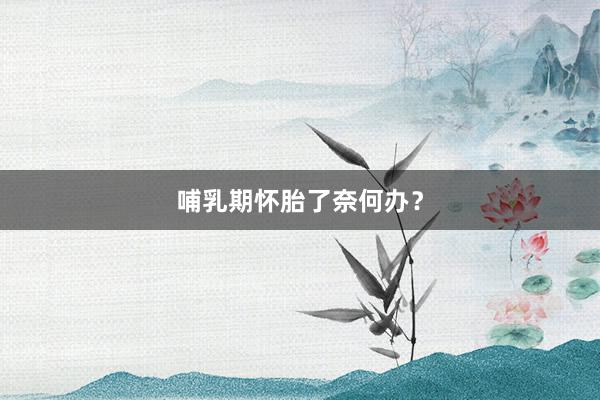 哺乳期怀胎了奈何办？