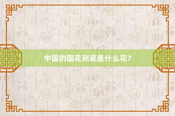中国的国花到底是什么花？