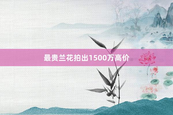 最贵兰花拍出1500万高价
